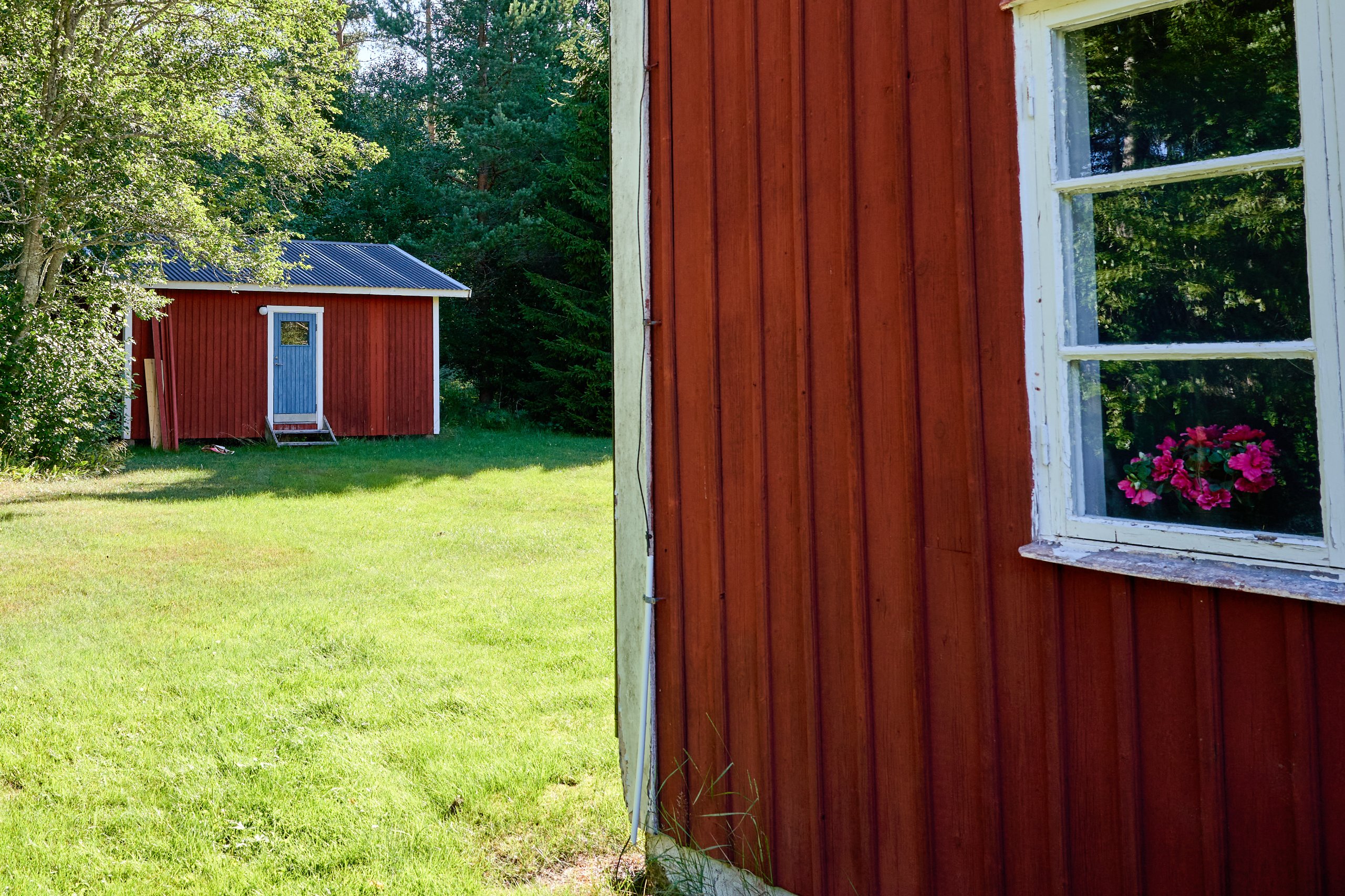 2022 07 22 Sverige 0724